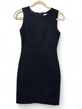 Calvin Klein Sleek Black Sleeveless Mini Dress (Size 2P)